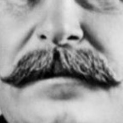 Image of Joseph Stalin's Mustache